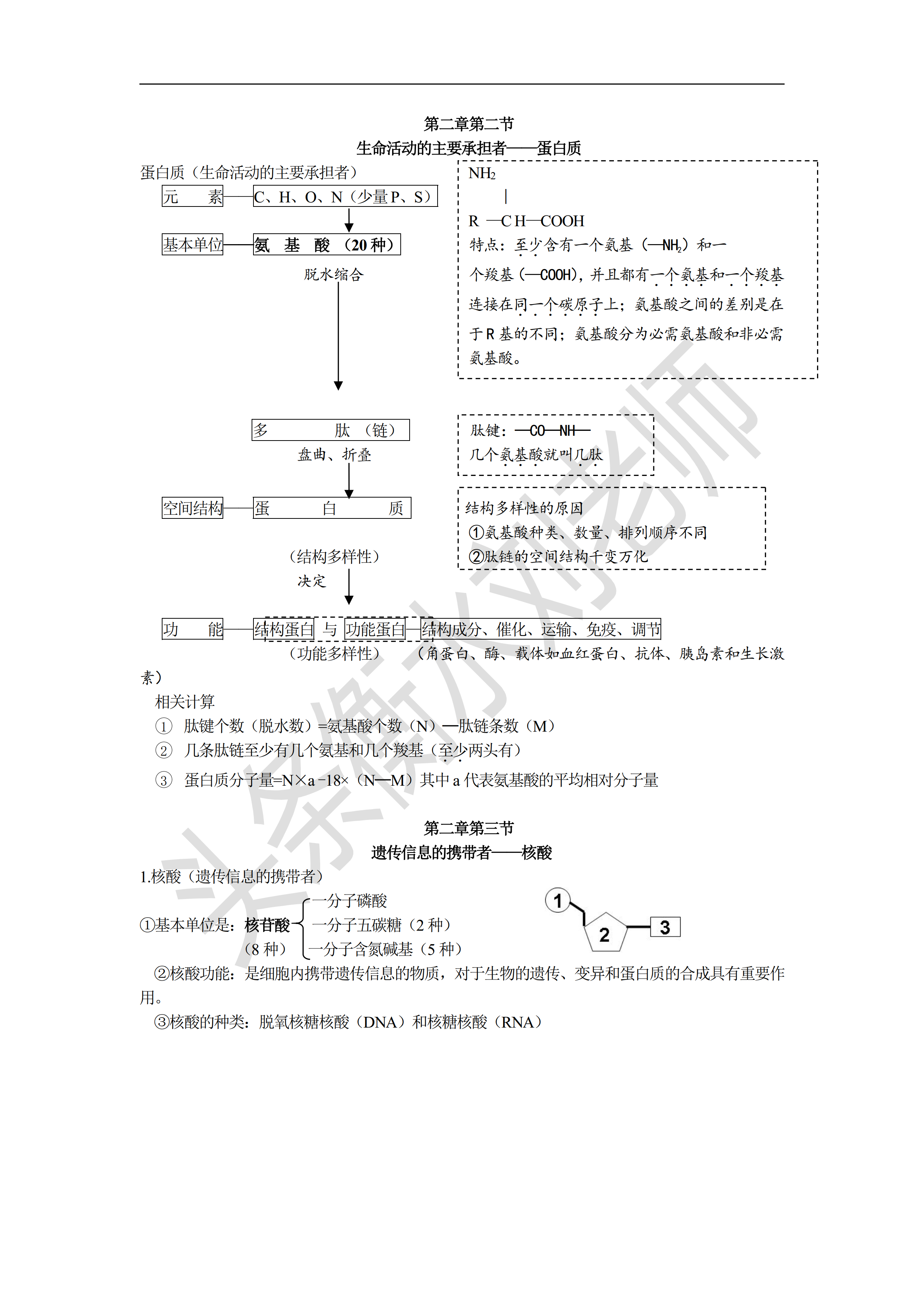 2021年新高一生物：第2单元%2c易马虎+易失分%2c回回必出要点总结揭晓