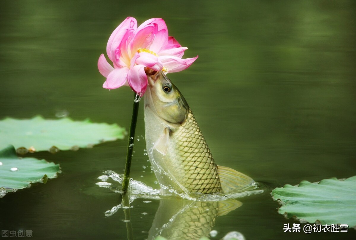 文案咖网_【朋友圈,抖音短视频,招商文案策划大全】