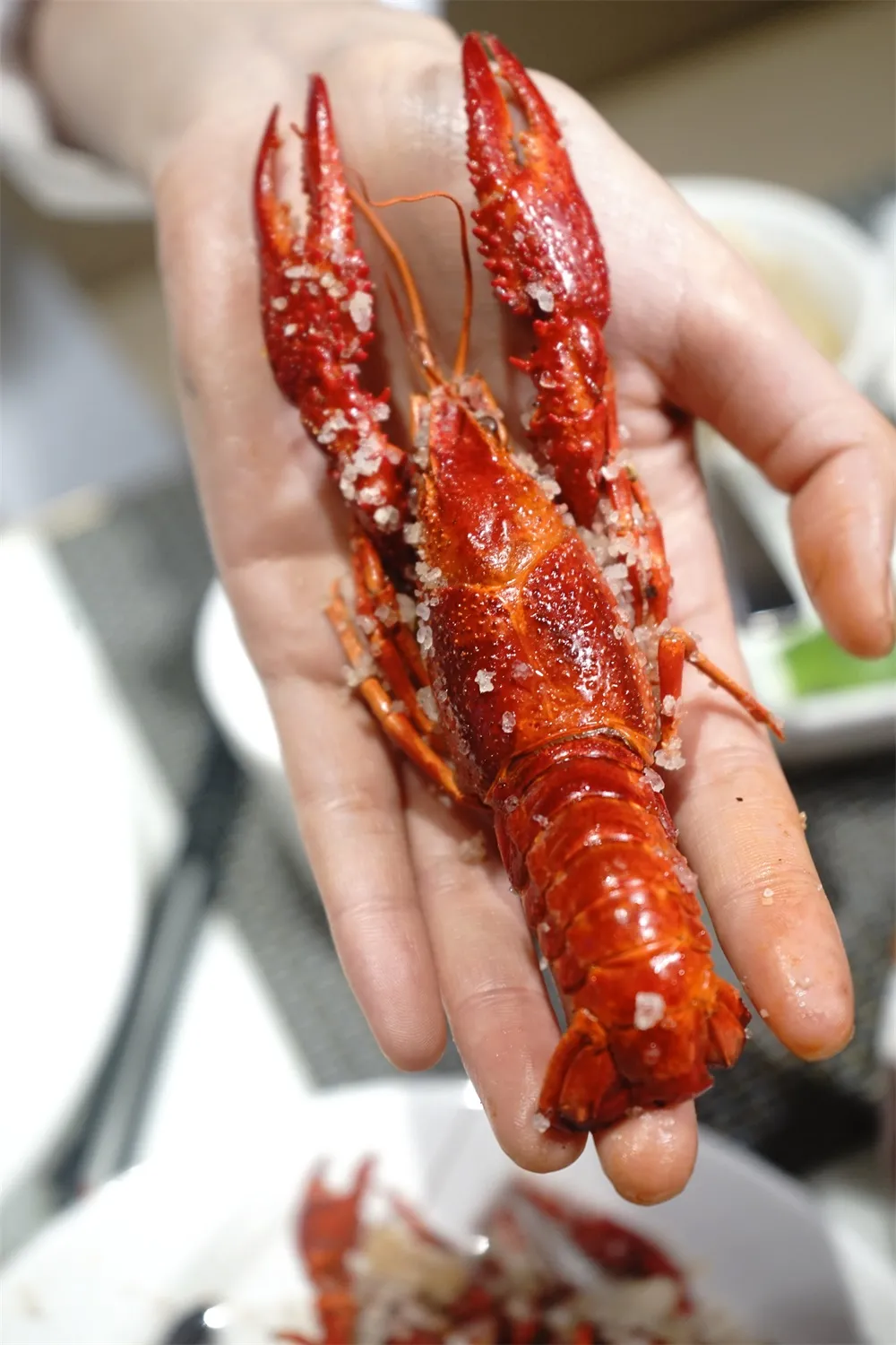 昆山托尼洛•兰博基尼酒店：海鲜自助小龙虾畅吃，春日美食等你来