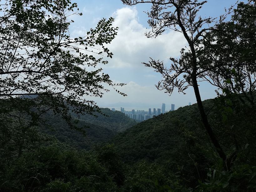 如何成为一名优秀的写作者？