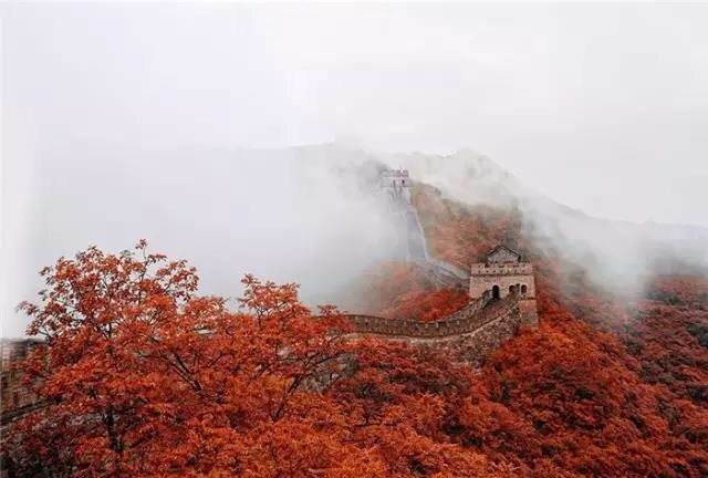 心里委屈难受的经典好句子，句句伤感压抑，看完想哭图片