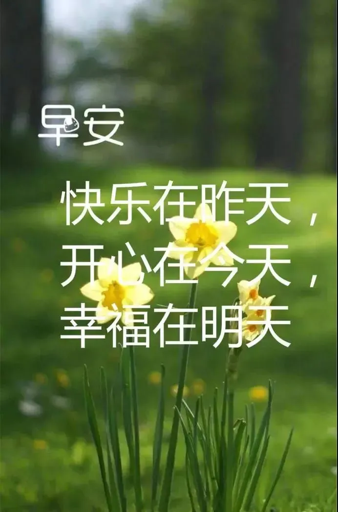 最新的早上问好祝福图片带字,最真诚的早安问候美图图片