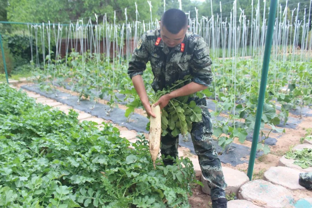 侯<a href=http://www.cngansu.cn/news/ target=_blank class=infotextkey></a>֧ܶӣٱ ḻӡ