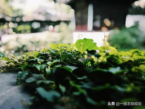 如何为文旅产业注入新动能？