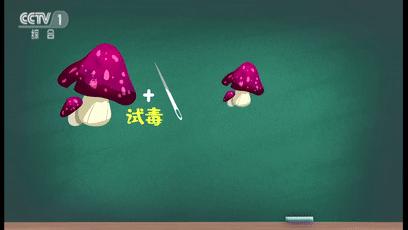 广东祖孙3人食用毒蘑菇致死，凶手又是它，别采别吃