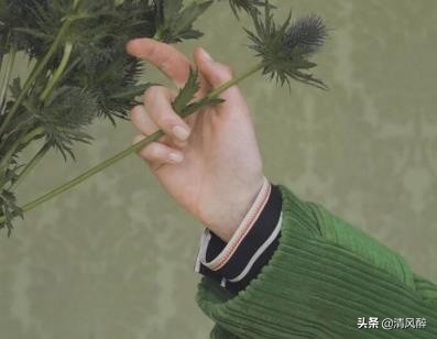 春暖花开的唯美句子：淡看流年烟火，细品岁月静好图片