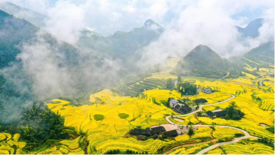丰收图景 颗粒归仓