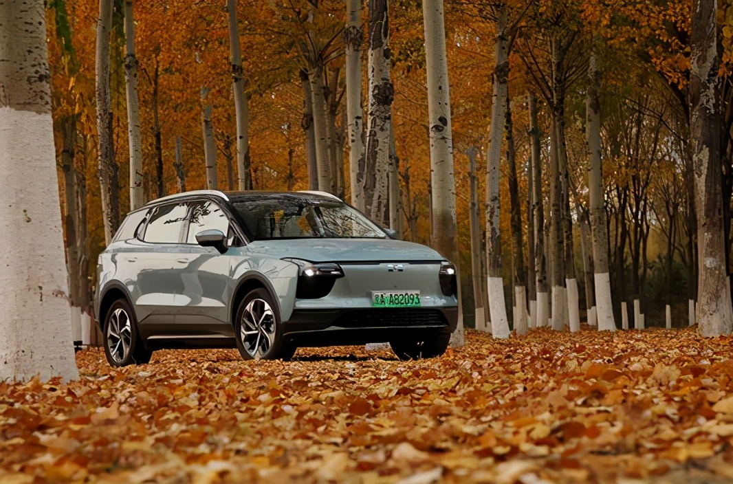 ���粻���׵���˹������ͦ��ã���ʵ֤���������������糵����