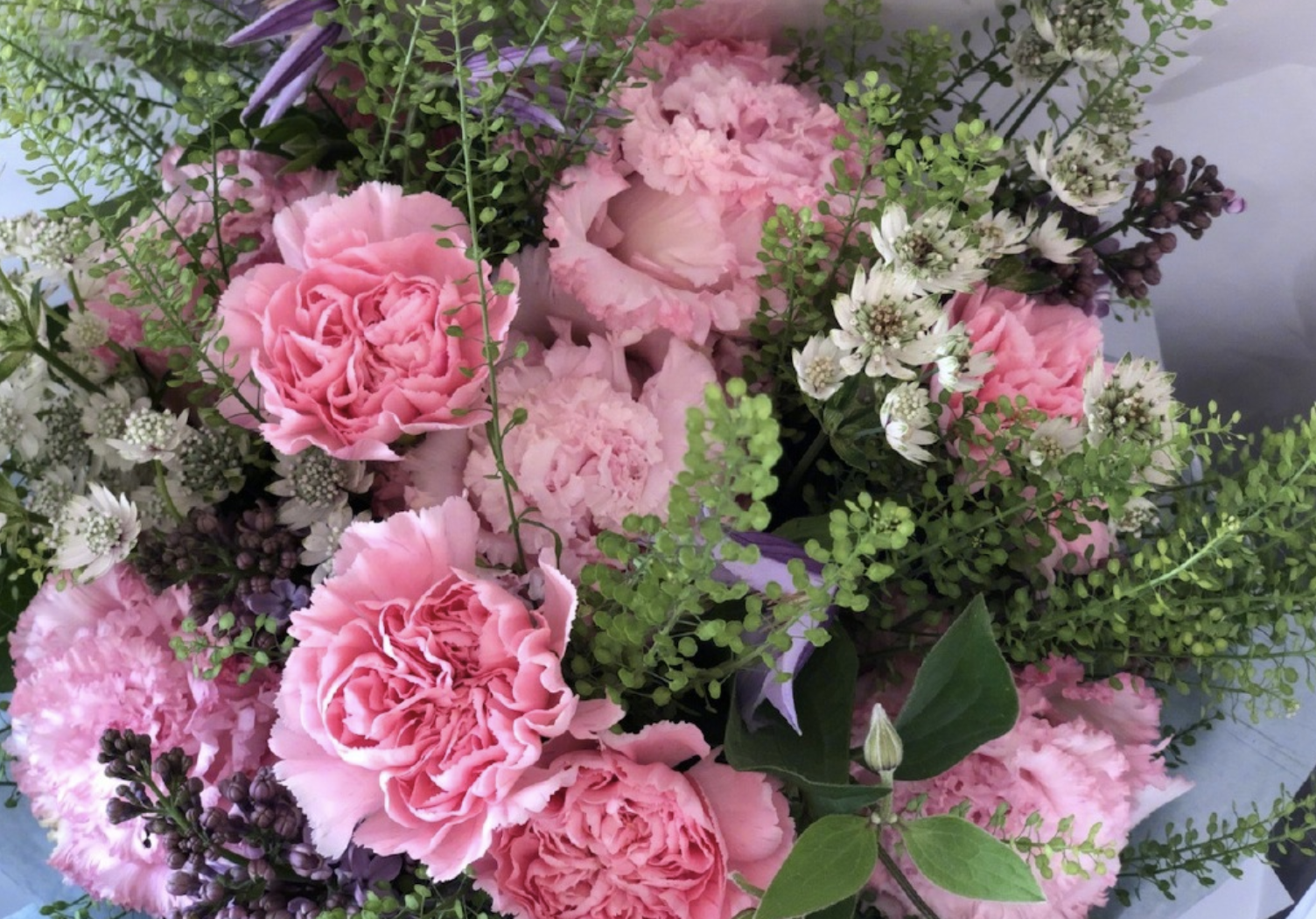 張智霖兒子母親節曬照，魔童攬媽媽臂膀顯男友力，身高赶超袁詠儀