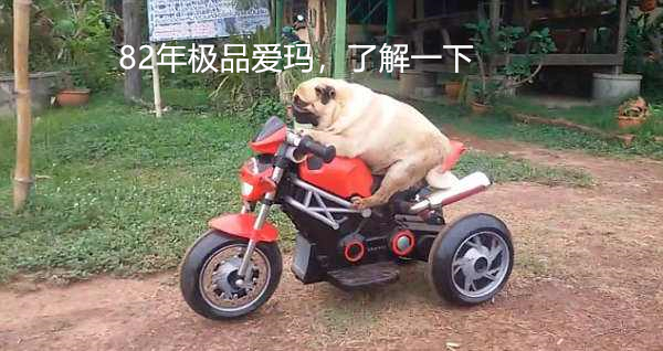 今年35岁，年薪3.5万，买宝马3系还是奥迪A4，很是