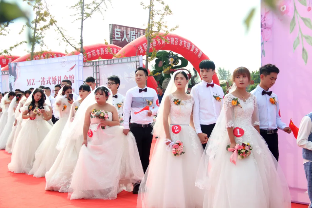 “花开疫散·缘定沭阳”小我婚礼在花木城进行