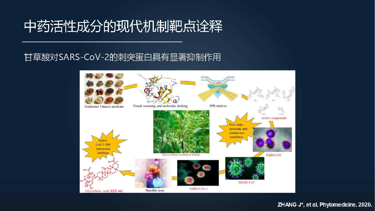 马百平：20分钟详解从有效成分到肠道菌群，中药如何突破？