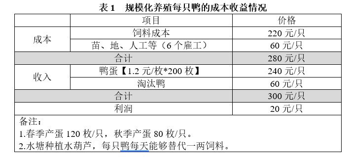 蛋鸭养殖散养净利润100元/只，规模养殖20元/只