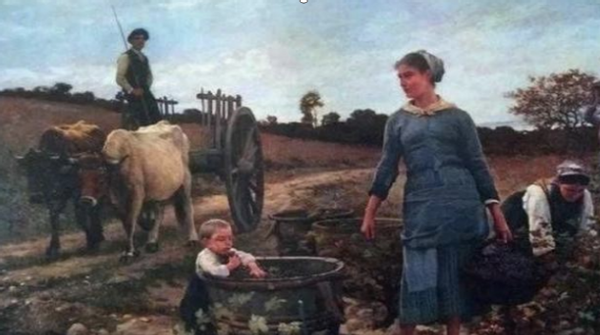 法国大胃王，一顿吃掉四分之一头牛，去世尸检时胃部臭气熏天