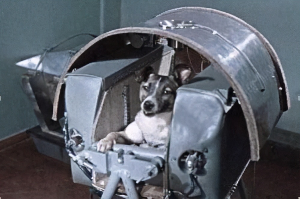 蘇聯曾將一隻小狗送進太空，63年過去了，現在仍在地球軌道流浪