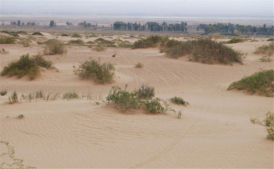 You can grow food in the desert!China's original black technology