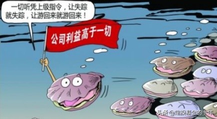 经验：牛市更容易亏钱！你现在信了吧？