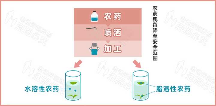 实测9款蜜桃乌龙茶包，没想到香味居然不是真蜜桃