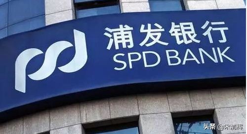 宋清辉：浦发银行应分析每笔不良贷款的成因 抓住症结 对症下药