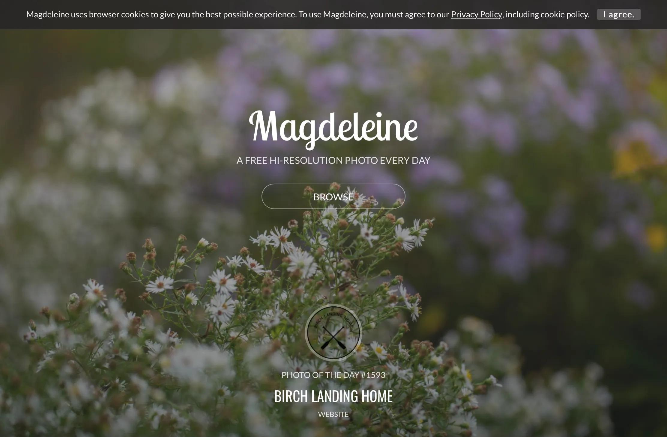 新媒体运营人必备｜15个高质量配图网站+13个Gif图库