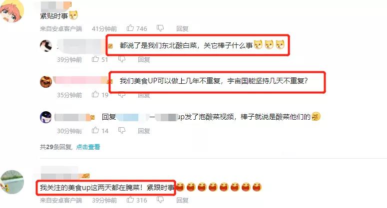 李子柒被韩国网友围攻，中国博主联手回击，发布酸菜视频标题显眼