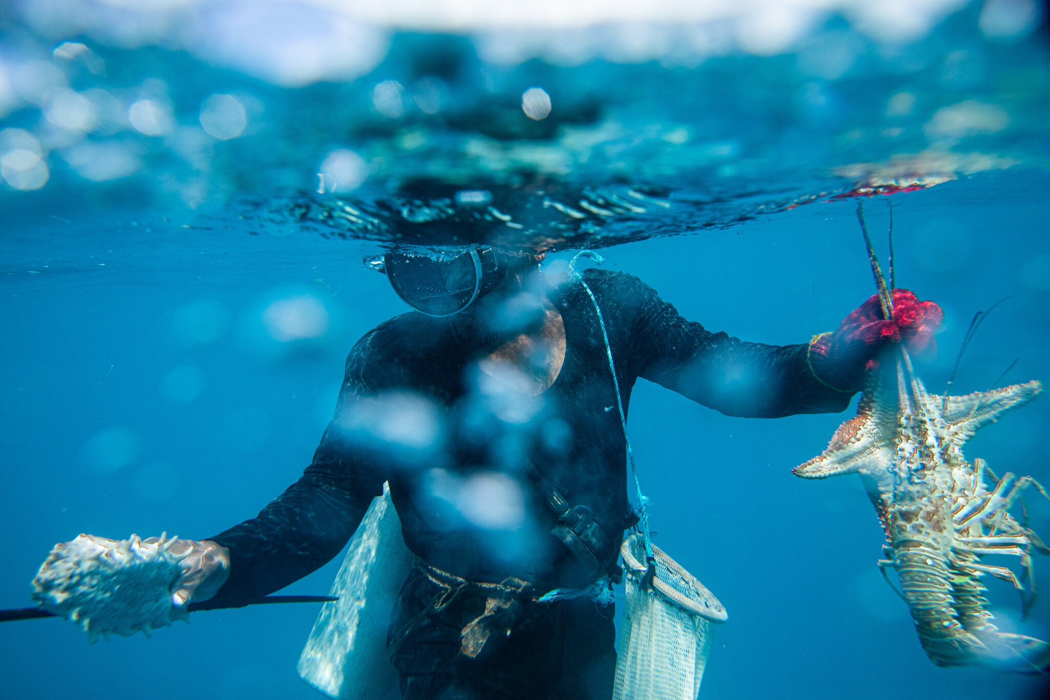 致命下潜！捞个龙虾，有的死有的瘫，加勒比渔民为何这么难？