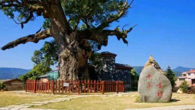 �ҹ�����δ��֮�գ�һ��ǧ��������������һ�����