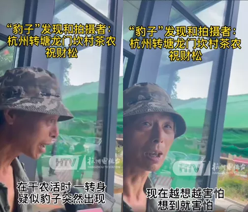 杭州“瞒豹”事件,愣把所有人当傻子