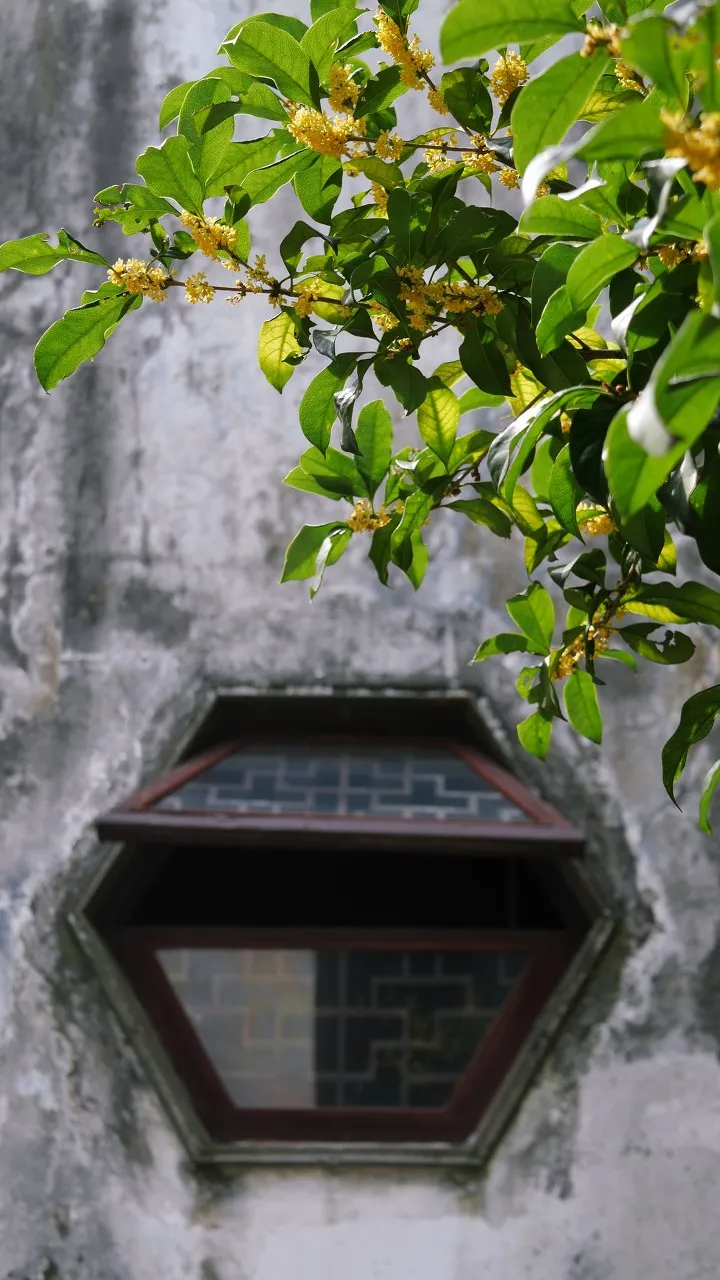 一入秋,苏州就成了姑苏(下)插图(12) 一入秋,苏州就成了姑苏(下)