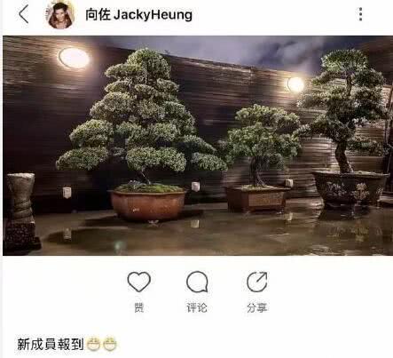 向太火速回应又被解读，发言权全归婆婆，难怪