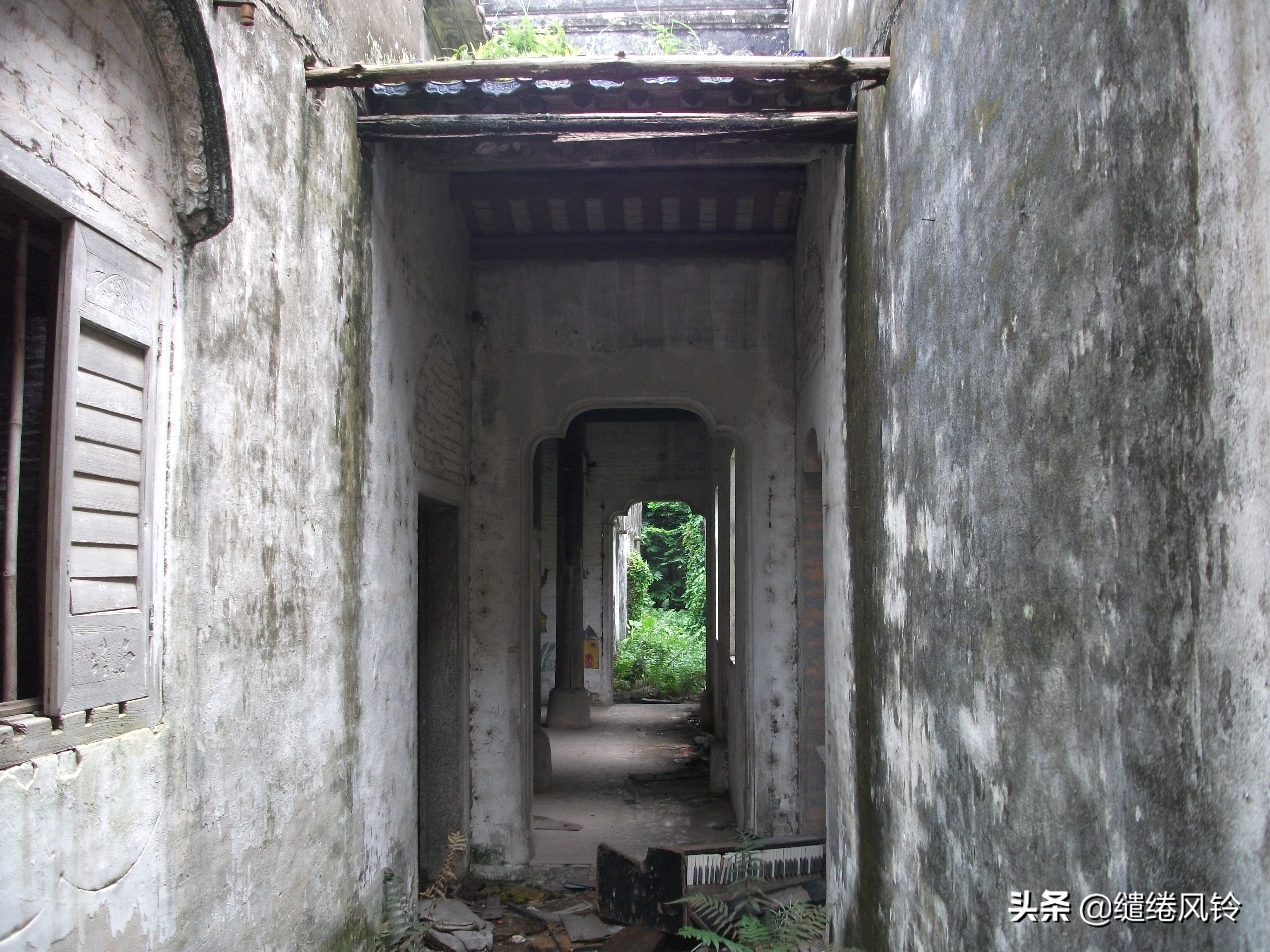 珠海界涌村：山藏古庙云藏树，揭秘清代初年“灵坟后蒙”显灵传闻