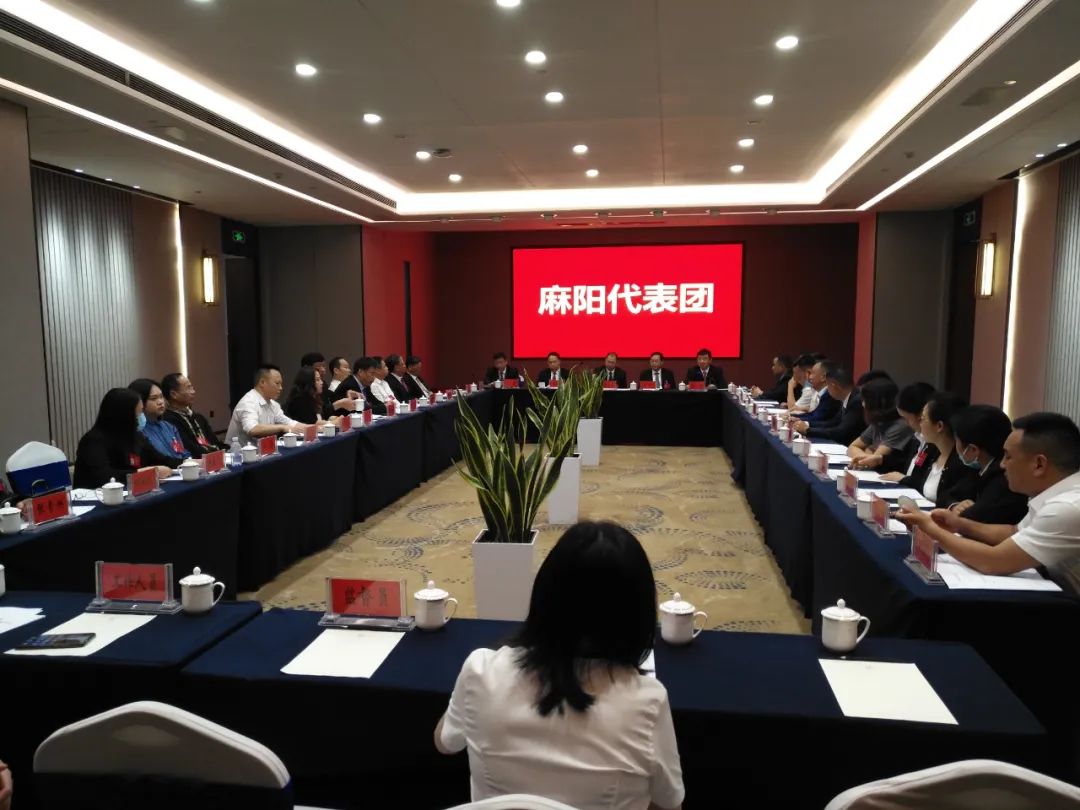 【图片新闻】市五届人大六次会议各代表团举行分组讨论