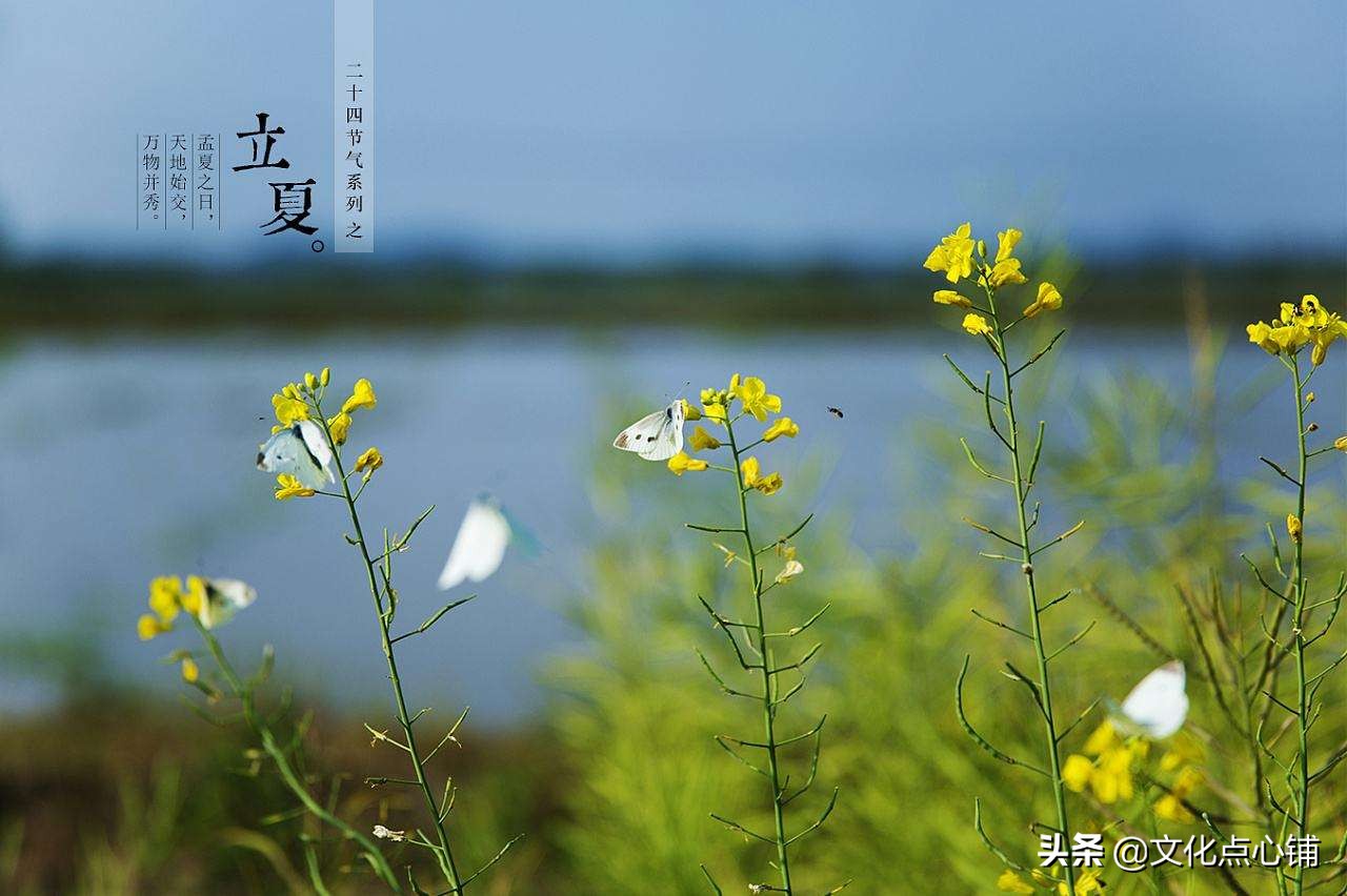 道尽最美的夏日时光-第1张图片-非凡网