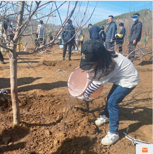 Dong Xuan takes a daughter to plant tree, netizen: I should steal small dimple