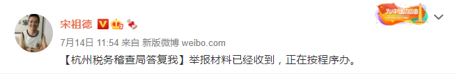 宋祖德举报林生斌偷漏税，杭州税务部门回应