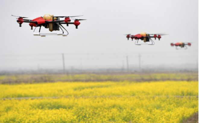 从最难的地方做起，阿里数字农业重投入盘活“最先一公里”
