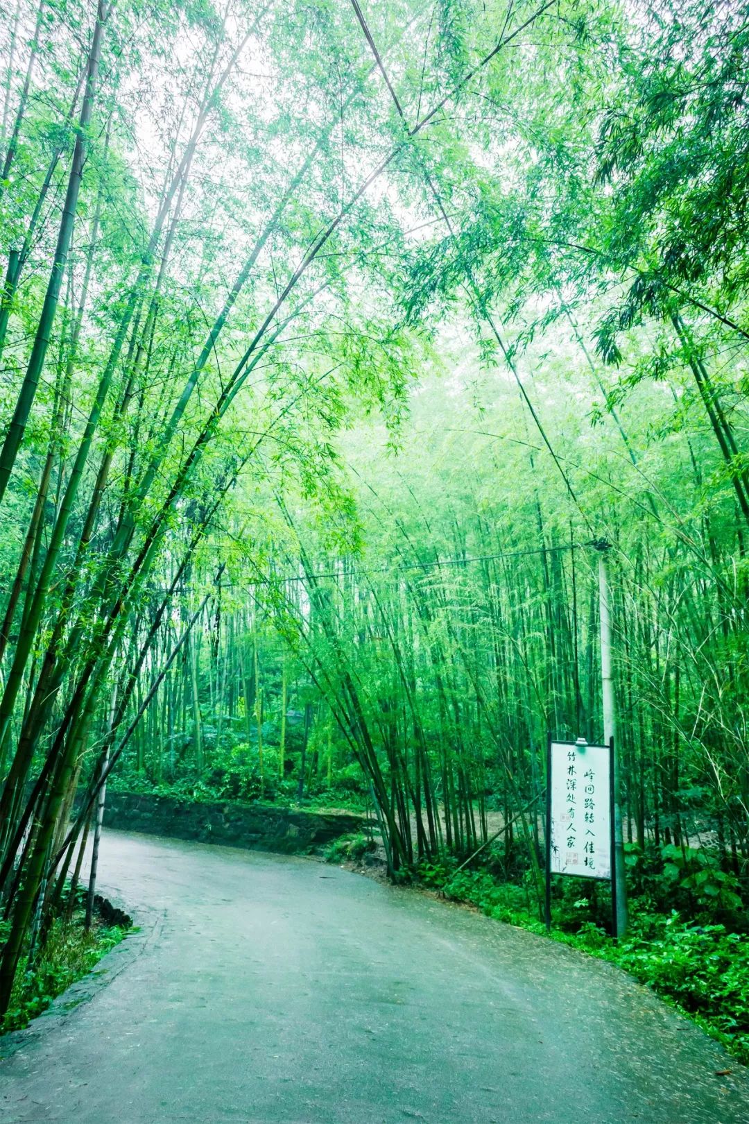 100首夏日诗词，带你清凉一夏-第12张图片-非凡网