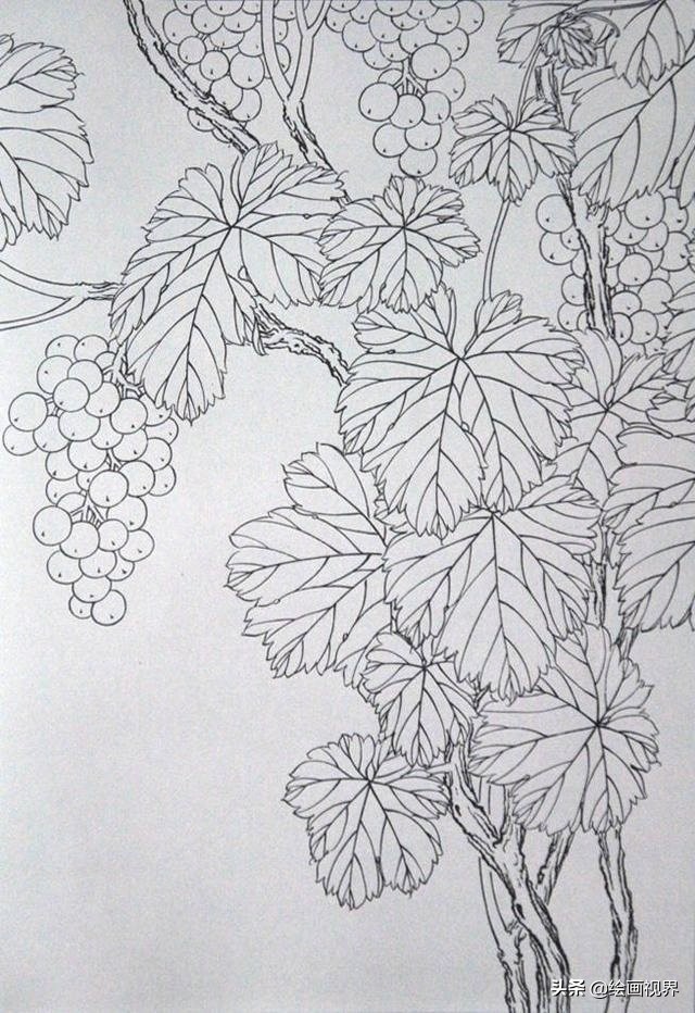 How Line Draft How do beginners draw correctly?Hurry up and collect these rare line ...
