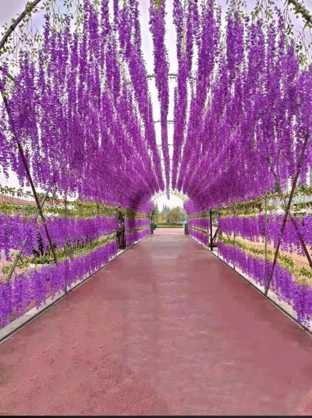 �׽����������Ļ����ν����湥�ԡ��������羰��