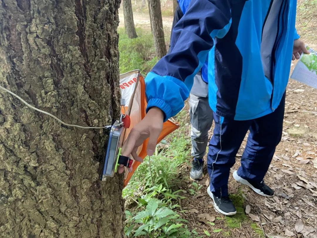 研学与交流｜定向越野，火热开跑，衡实少年就是飒