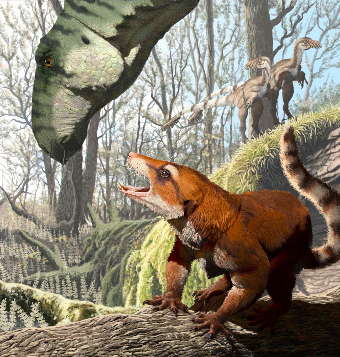 Why do horses need horseshoes, but cows don't? Does the horse hurt when