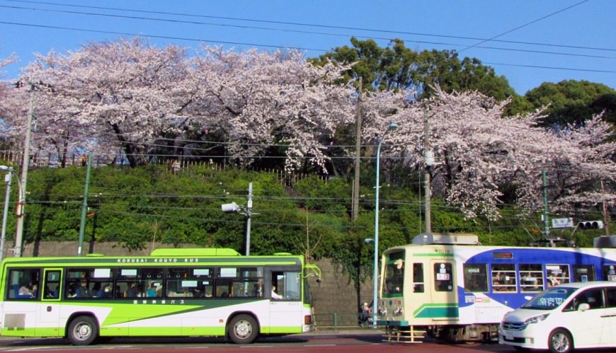 东京赏樱攻略 超美樱花路线5选 乐吃购到日本 Mdeditor