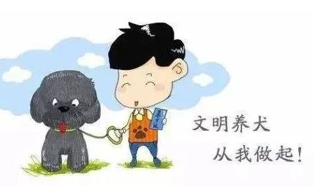 徽州宴新进展来了！税收单牵出老板猫腻，难怪老板娘敢如此猖狂