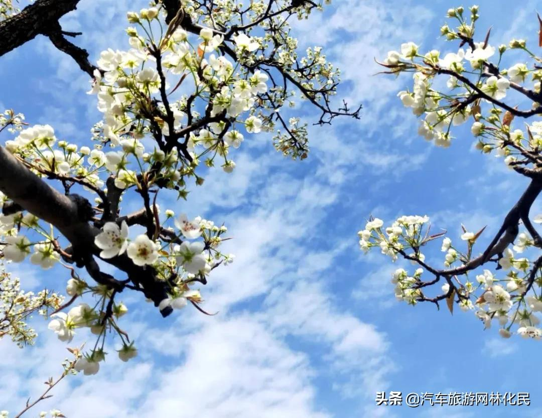 「3.27日·好客山东年卡」平邑九间棚+康谷温泉1日游