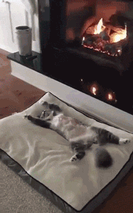 搞笑GIF：我就想知道，妹子你啥时候能喝醉