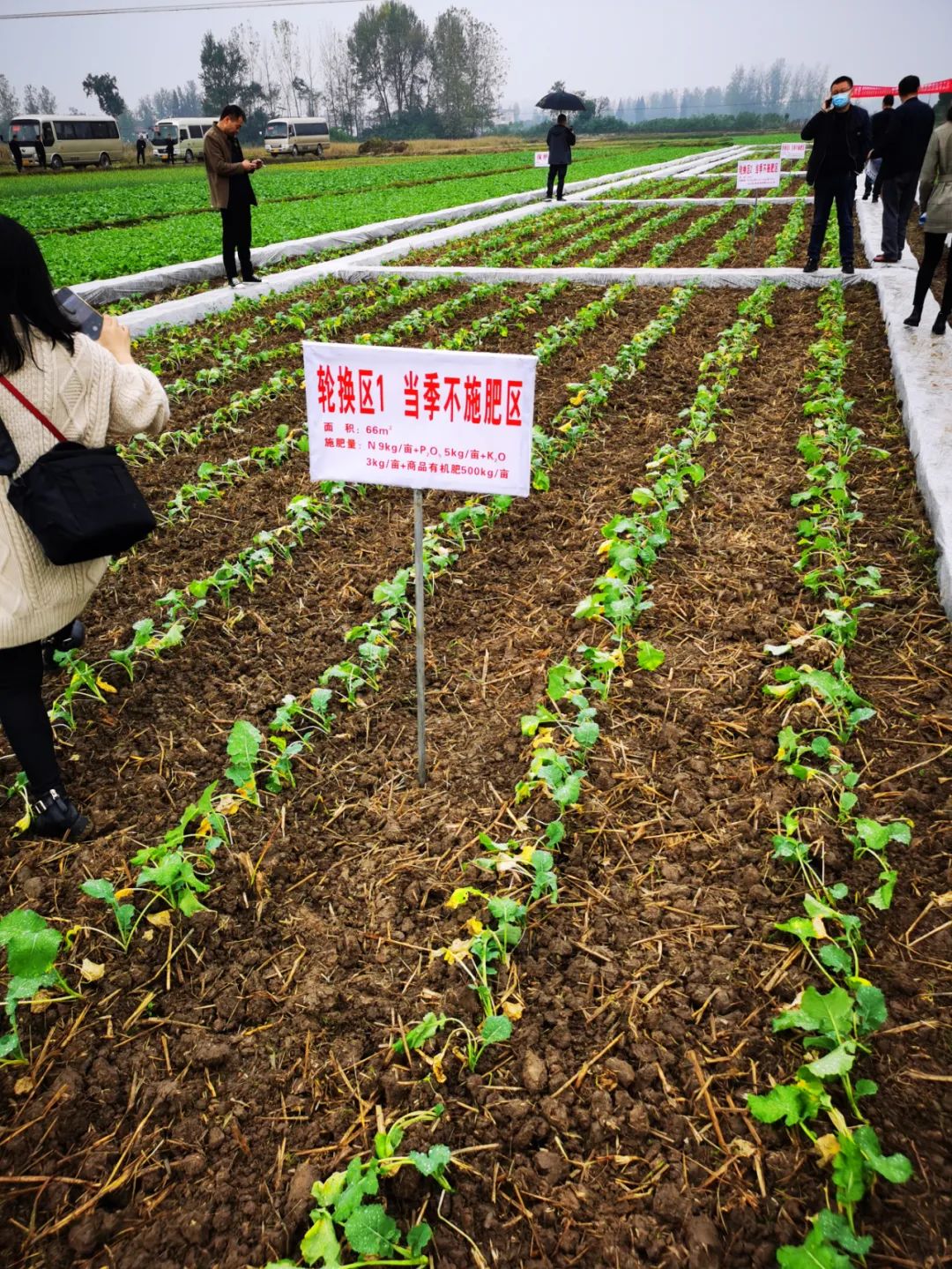 张传忠在：“国家耕地质量监测评价与建设保护培训班”做专题报告