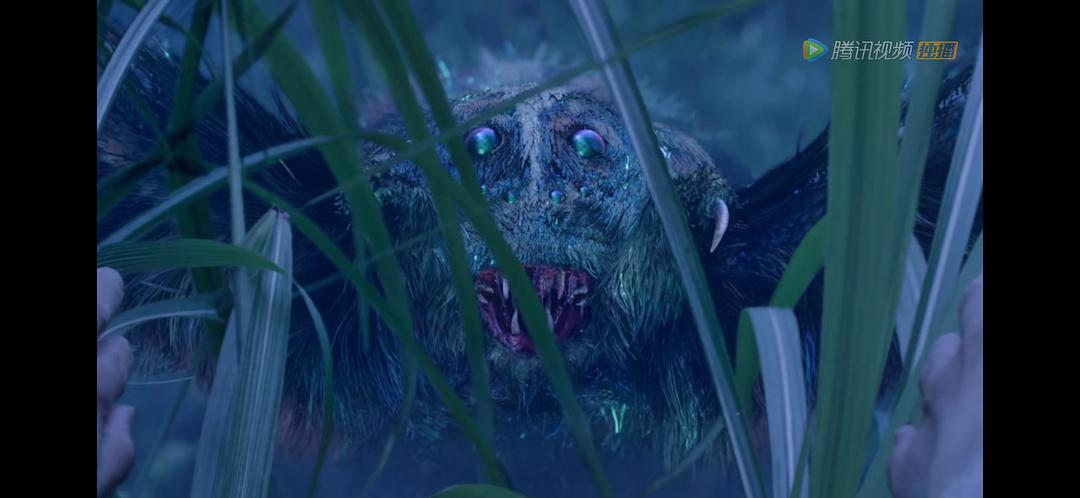 Did not look to make one star to Xiao Zhan, do not tell Wu De? 