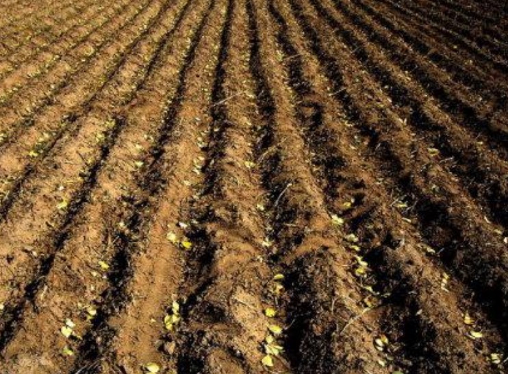 哈尔滨2村干部酒后调解纠纷，遭村民持菜刀砍死，遇害细节披露