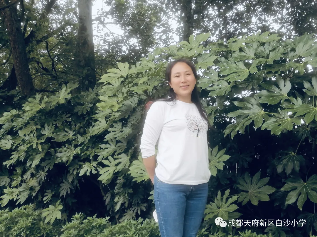 麓溪河畔 墨韵白小——天府新区白沙小学名优教师风采展示（五）
