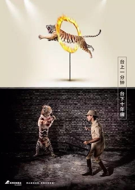 疫情未结束，另一场席卷70亿人的危机还在发生